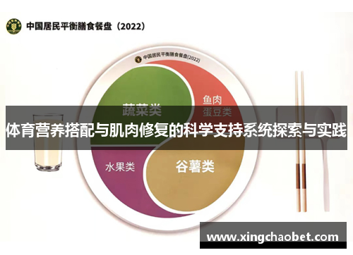 体育营养搭配与肌肉修复的科学支持系统探索与实践
