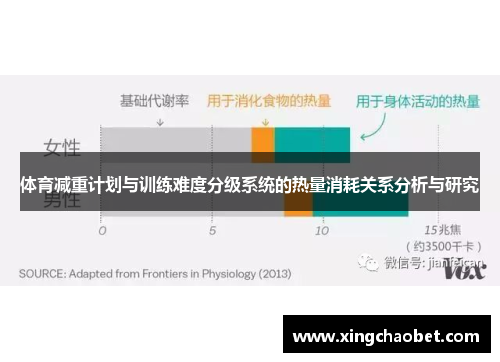 体育减重计划与训练难度分级系统的热量消耗关系分析与研究