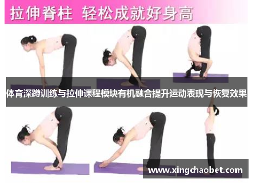 体育深蹲训练与拉伸课程模块有机融合提升运动表现与恢复效果